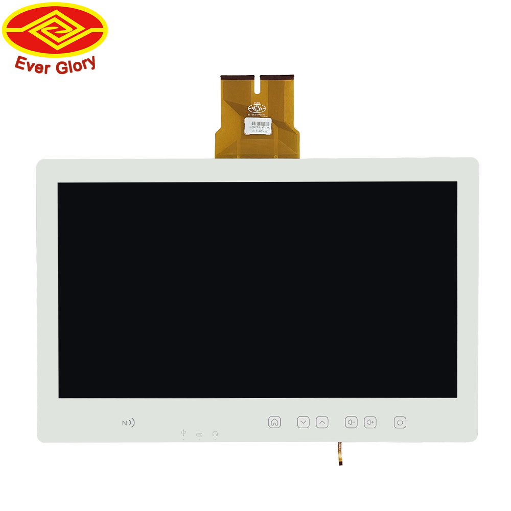 21.5 inch LCD Display Module