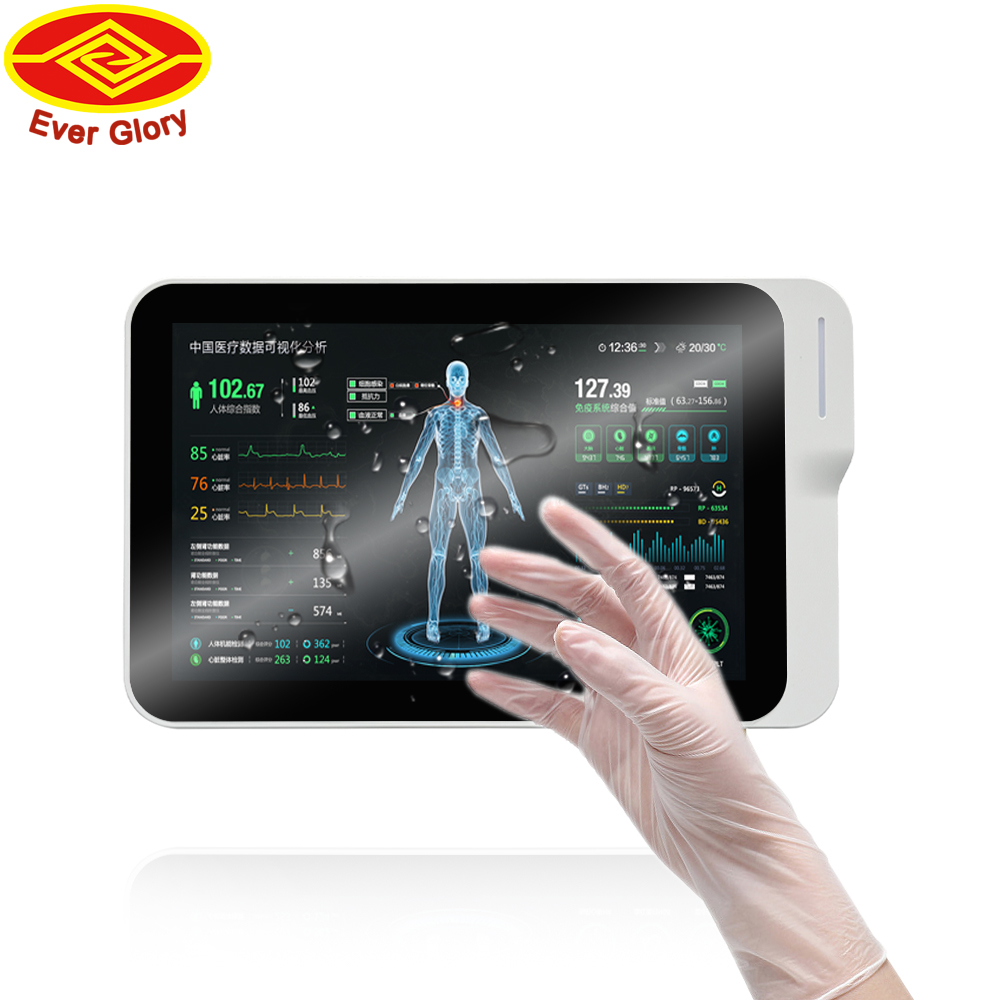 10.1 Inch Touch Screen Display Panel 